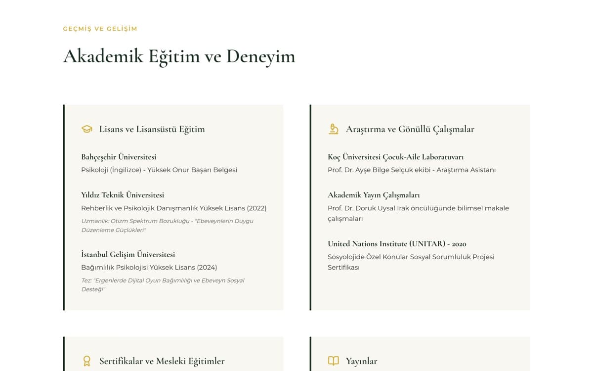 Nehir Demir: Eğitim ve mesleki deneyim